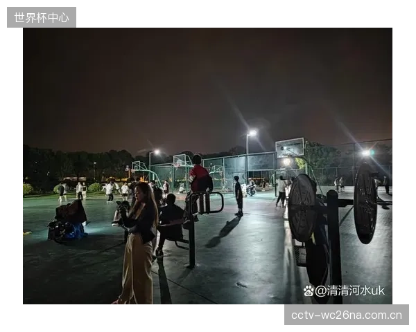半数球员经历过上届赛事的洗礼，这支年轻的美国队将在经验与活力的结合中寻求突破。